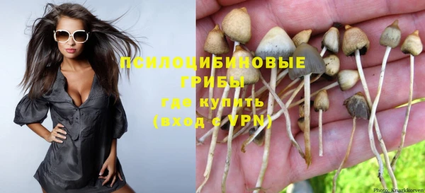 COCAINE Няндома