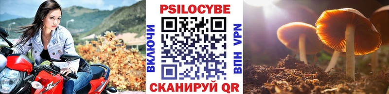 Псилоцибиновые грибы мицелий купить наркотик Родники