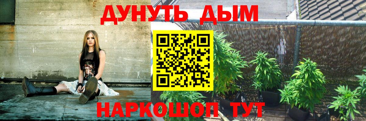 Шишки марихуана Amnesia  Шишки марихуана марихуана  Родники  Бошки Шишки SATIVA & INDICA 